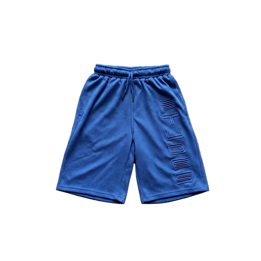 “VSNETUDES” blue